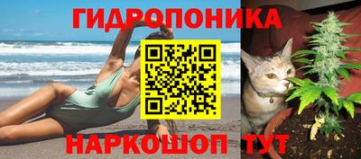 ПСИЛОЦИБИНОВЫЕ ГРИБЫ Севастополь