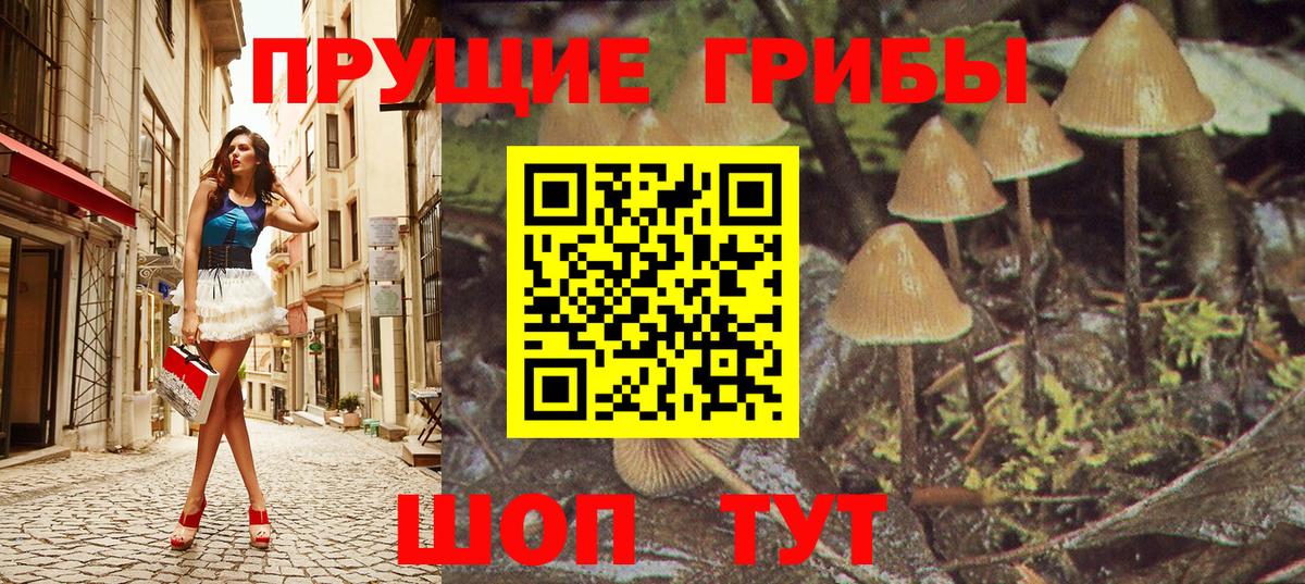 Псилоцибиновые грибы Psilocybine cubensis  Вход с VPN  Псилоцибиновые грибы Magic Shrooms  Саянск 